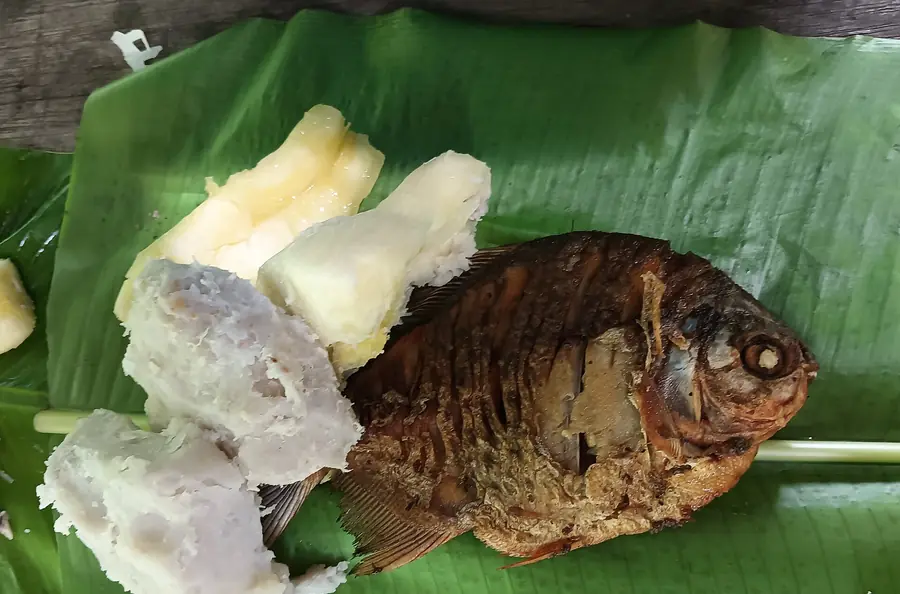 Paco frito con yuca
