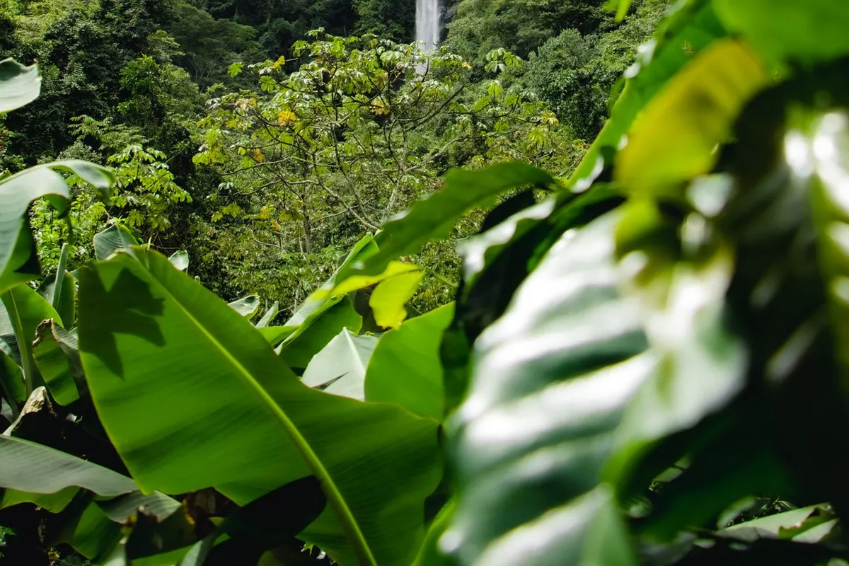Cataratas de Yanay (Mandor)