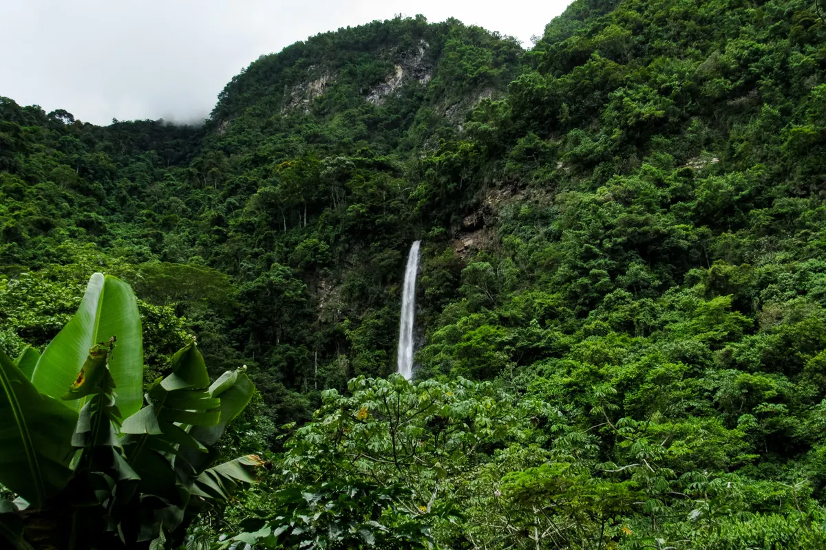 Cataratas de Yanay (Mandor)